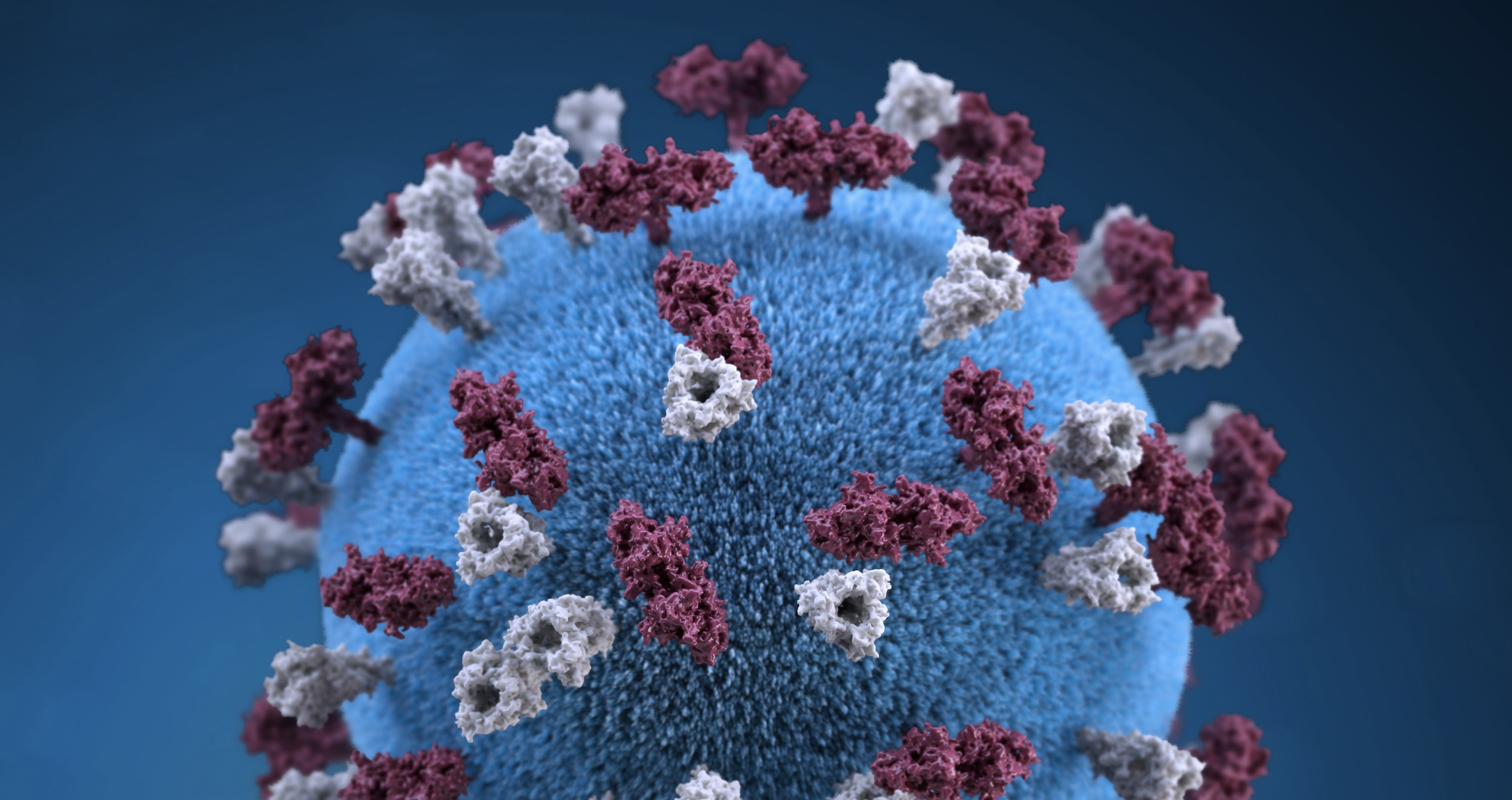 Coronavirus Protocols and Methods on Springer Nature Experiments