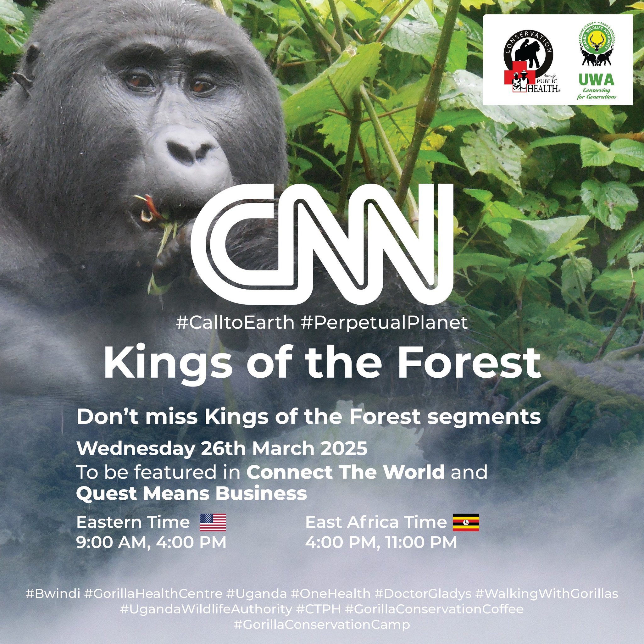 Uganda's Iconic Mountain Gorilla 