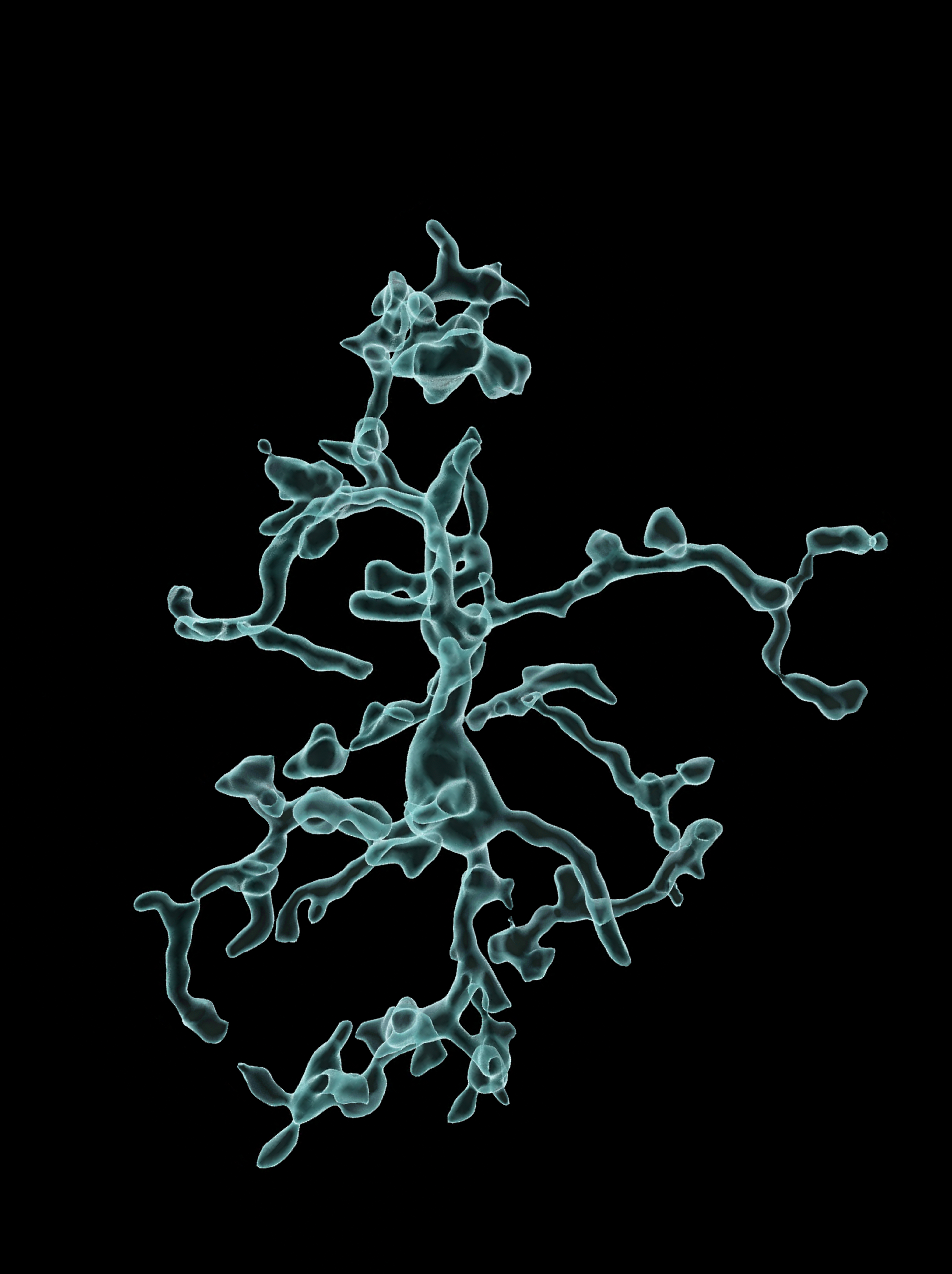 Dysfunctional microglial mitochondria impair brain development