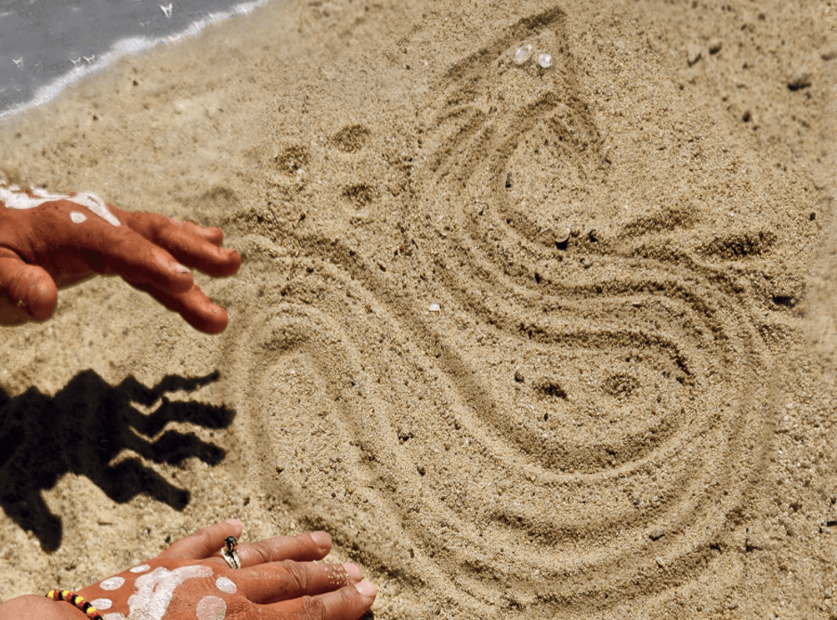 October 7: "Snake Talk" with Tyson Yunkaporta learning session (Co-creation with the More-than-Human sandbox)