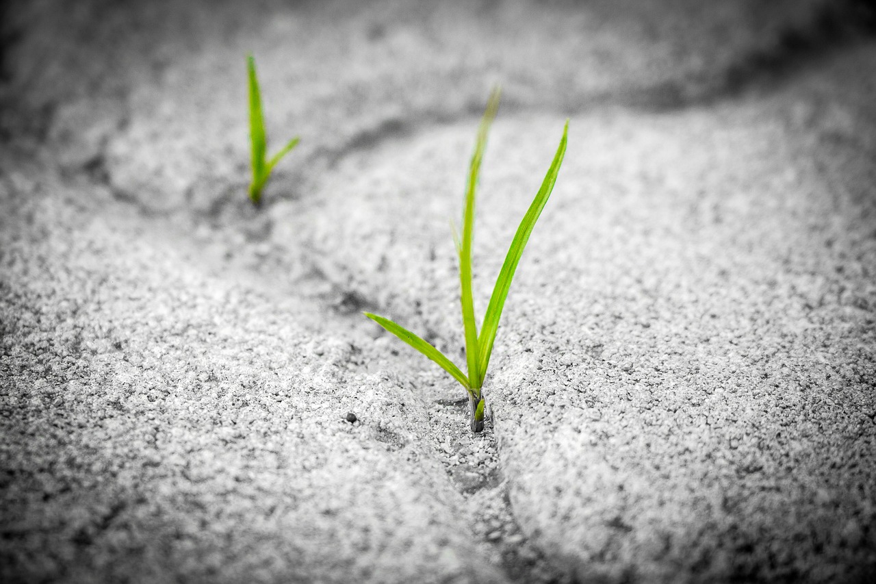 Surviving and Thriving in Academia – The “Ten Commandments” to Staying Sane During a PhD