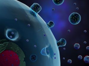 Call for papers: Organelles and molecular assemblies in intercellular signalling Collection