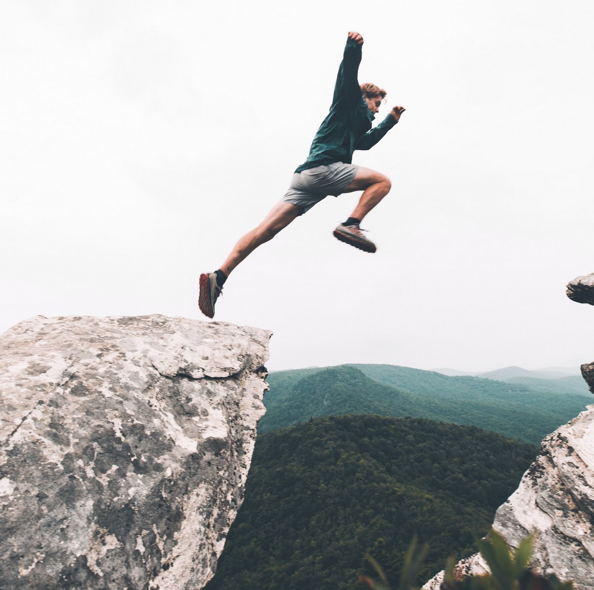 How to start up your own conservation organisation. Tip 1: Look before you leap.