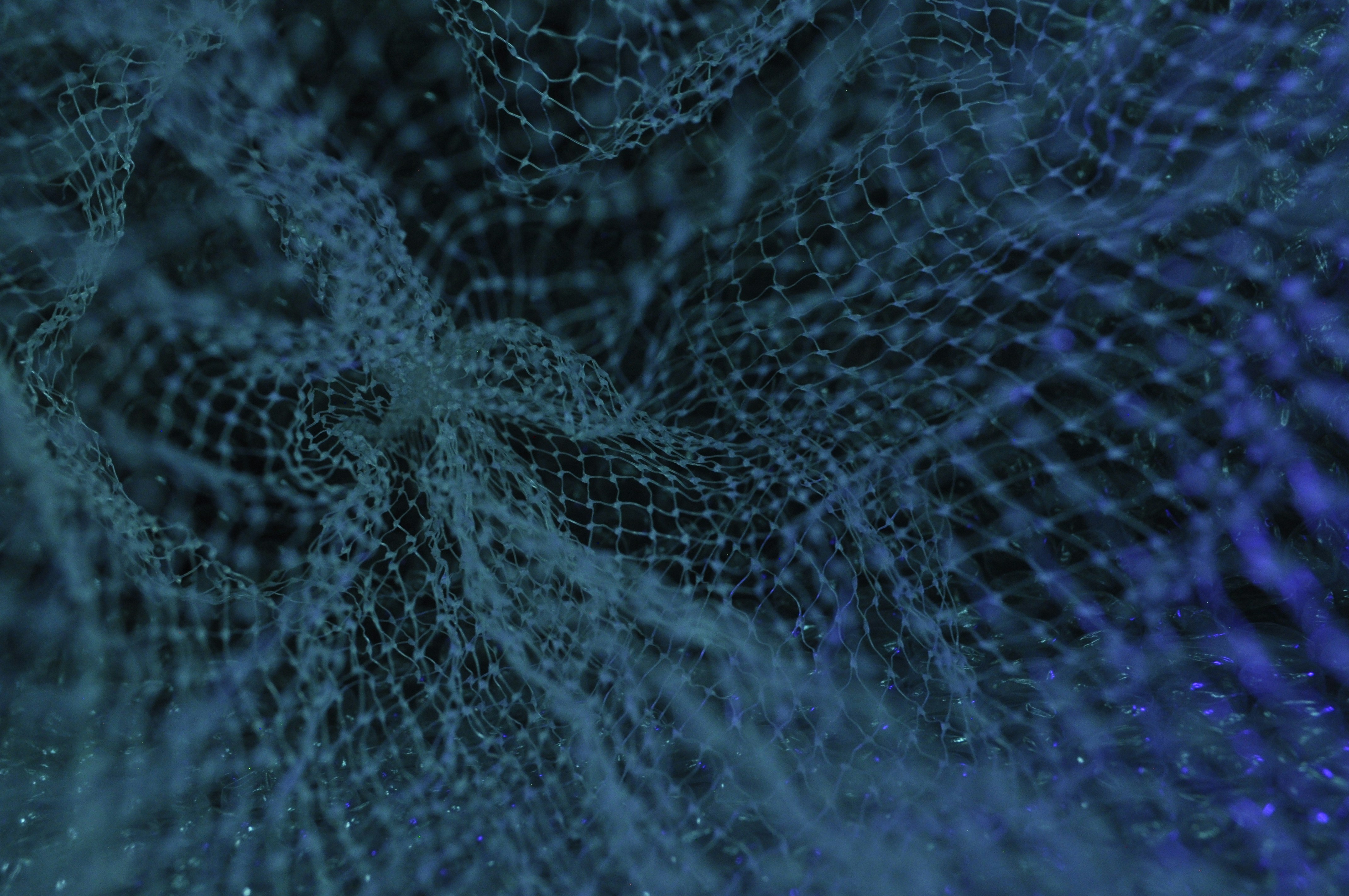 Highlights from Mathematics, Physical and Applied Sciences Communities   