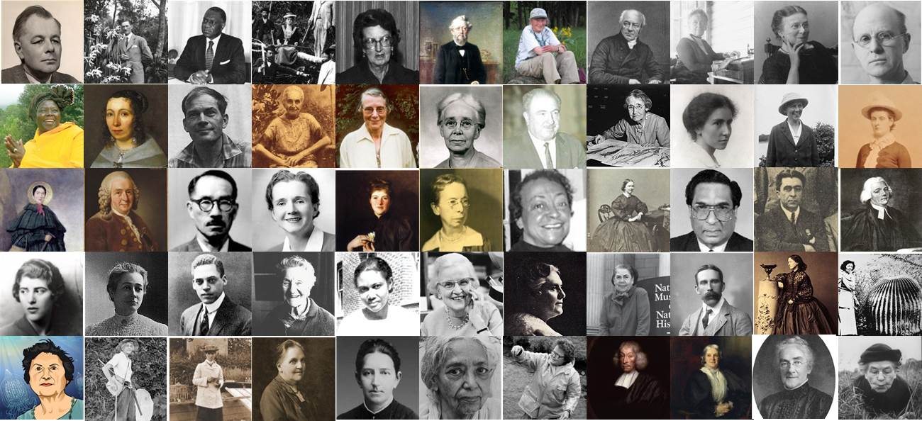 Great lives in ecology and evolution