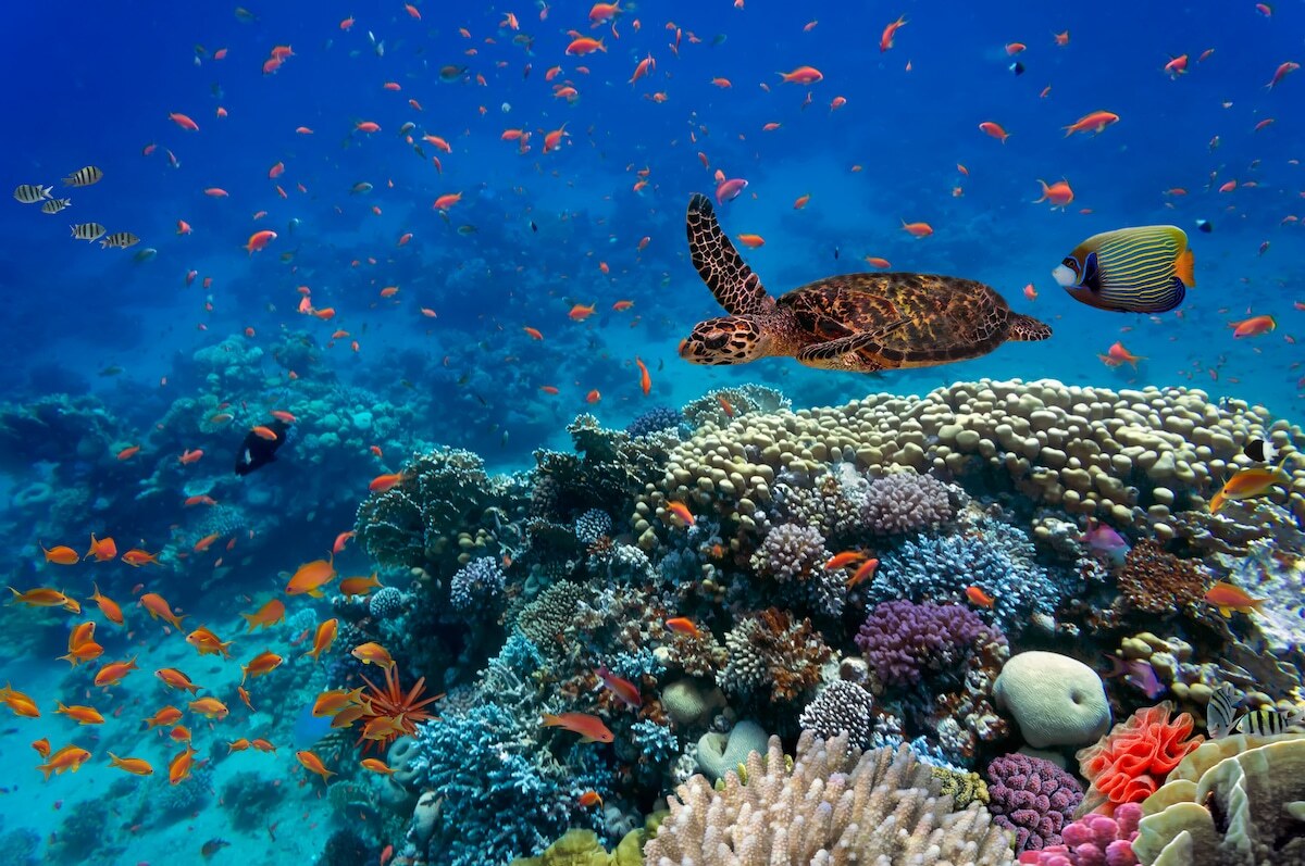 UN Ocean Conference 2025, VIRTUAL SIDE EVENTS PROGRAMME