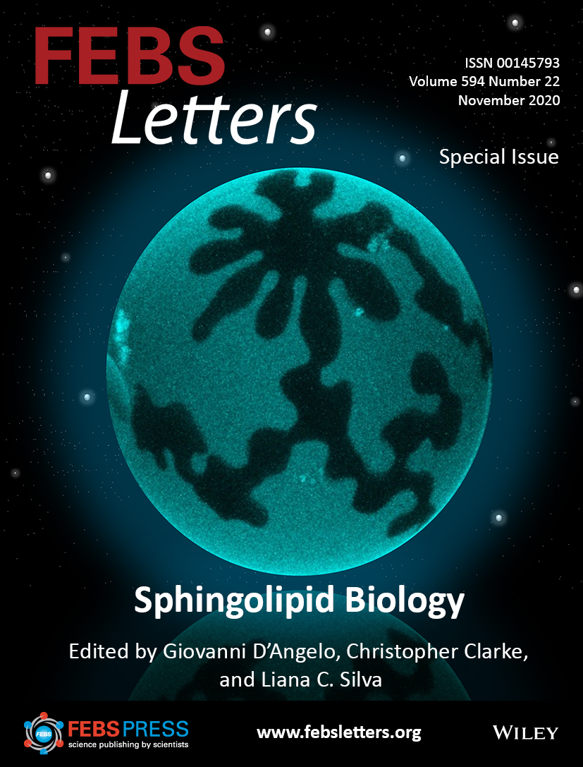Sphingolipid Biology Special Issue