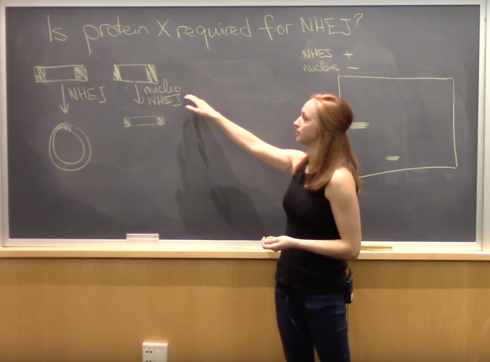 Introducing students to the art of the "chalk talk" and incorporating active learning activities to a graduate bioscience classroom