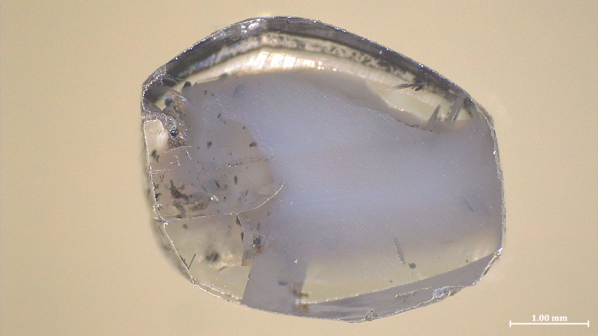 Diamonds as witnesses of deep Earth chemistry: the surprising coexistence of metallic and carbonate inclusions