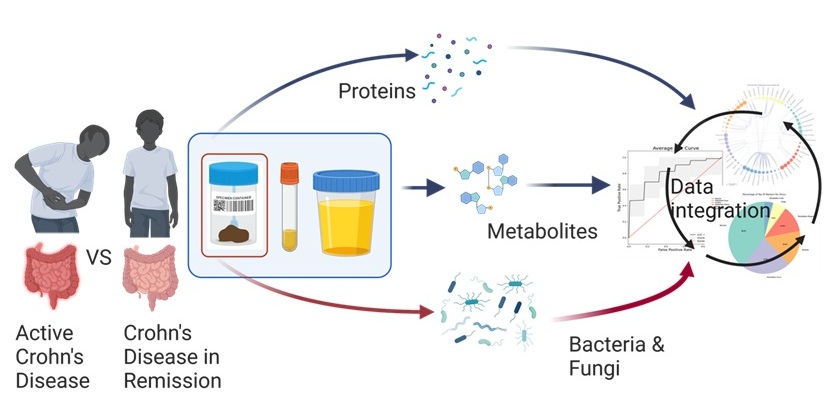 A Holistic and Molecular View of Crohn's Disease