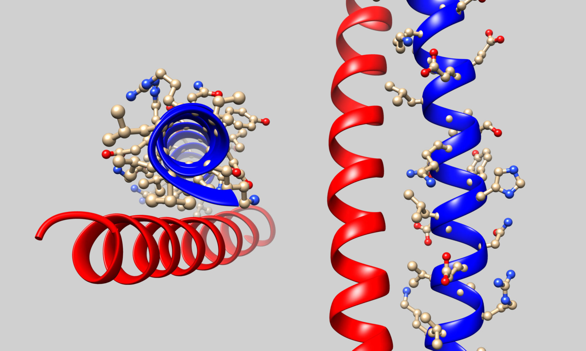 Rendering Visual Literacy: The BioMolViz Project 