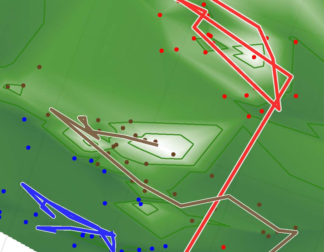 Is a better diet one of the keys to mitigating C. difficile infection?