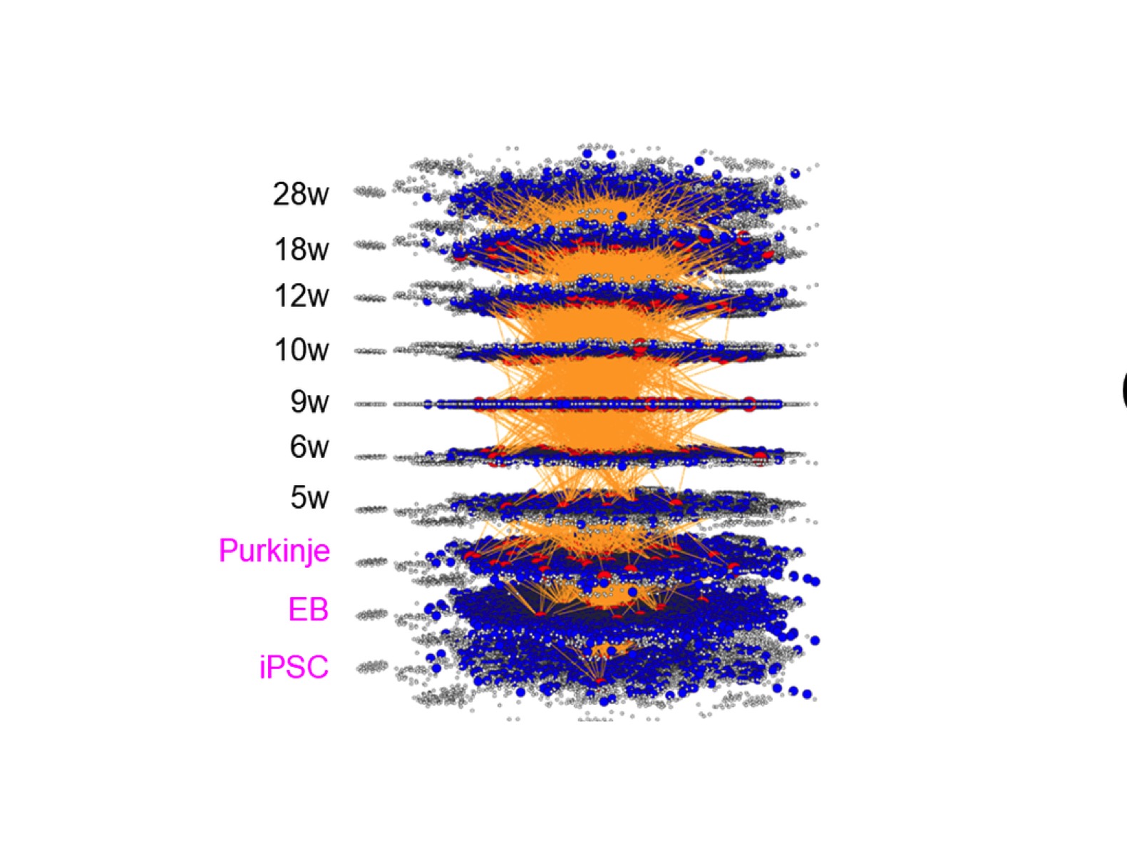 How we can simulate temporal changes of molecular networks based on the cause-result relationship?