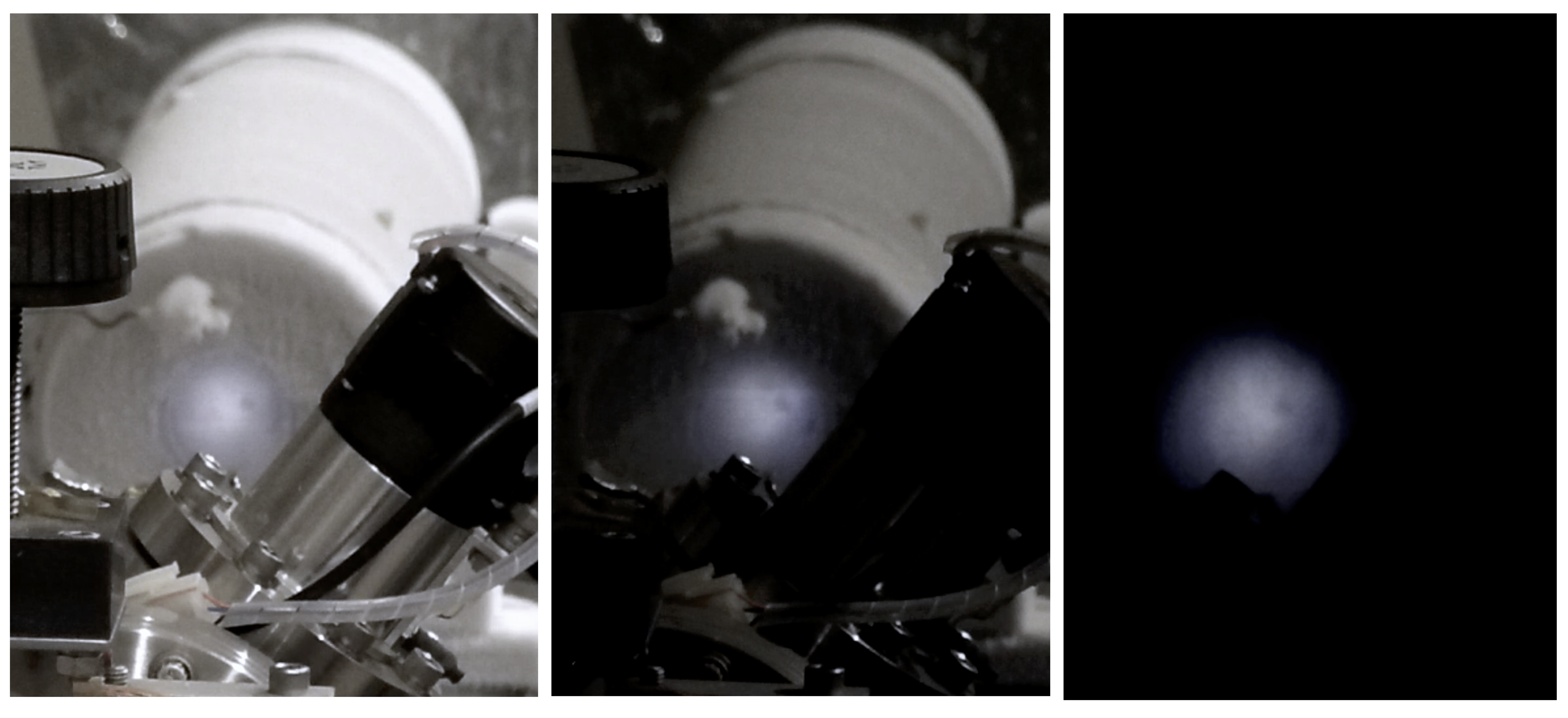 Europa Glows: A laboratory prediction based on a serendipitous discovery