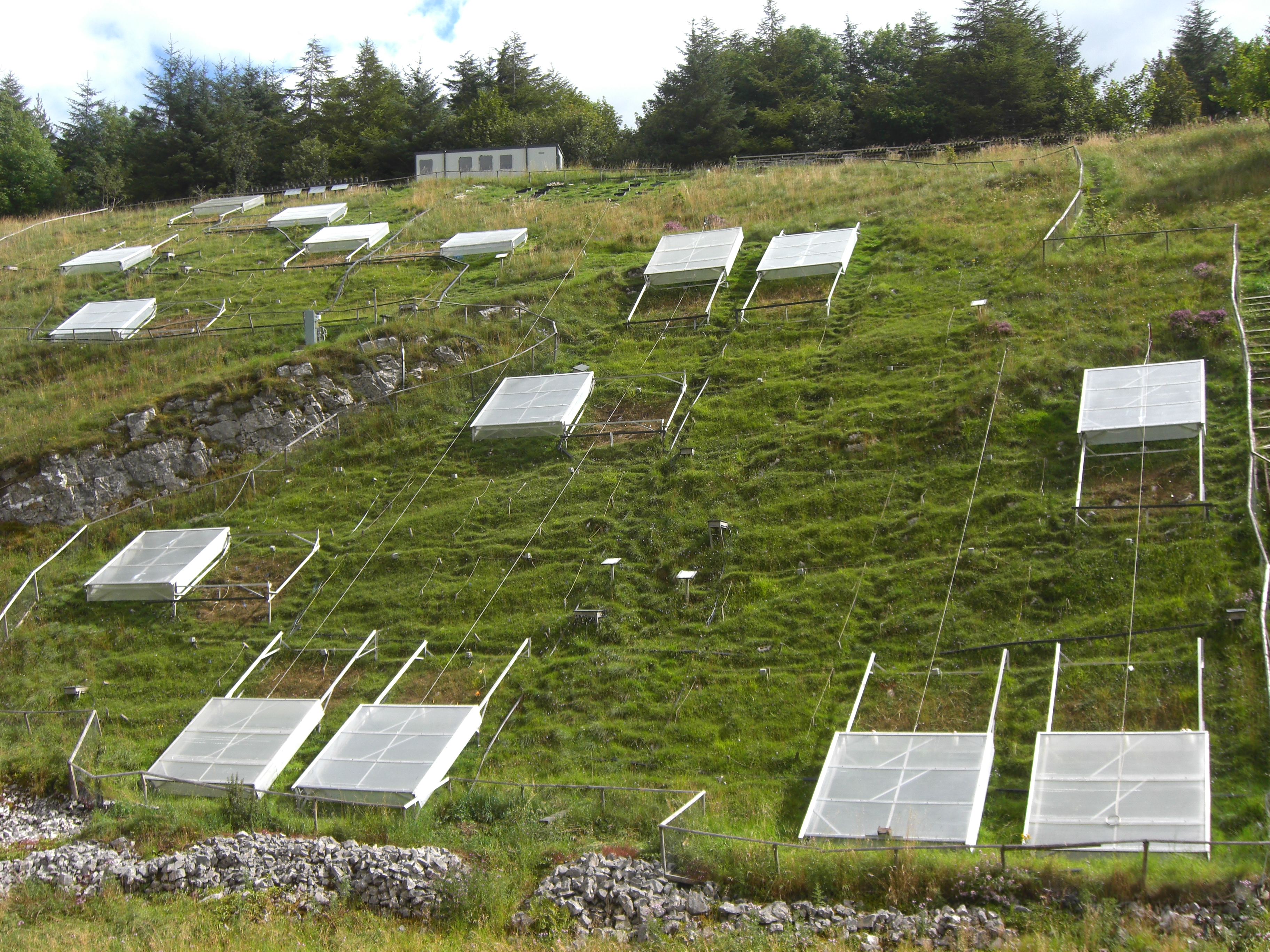 Plant hormones – an early-warning system for soil micro-organisms?