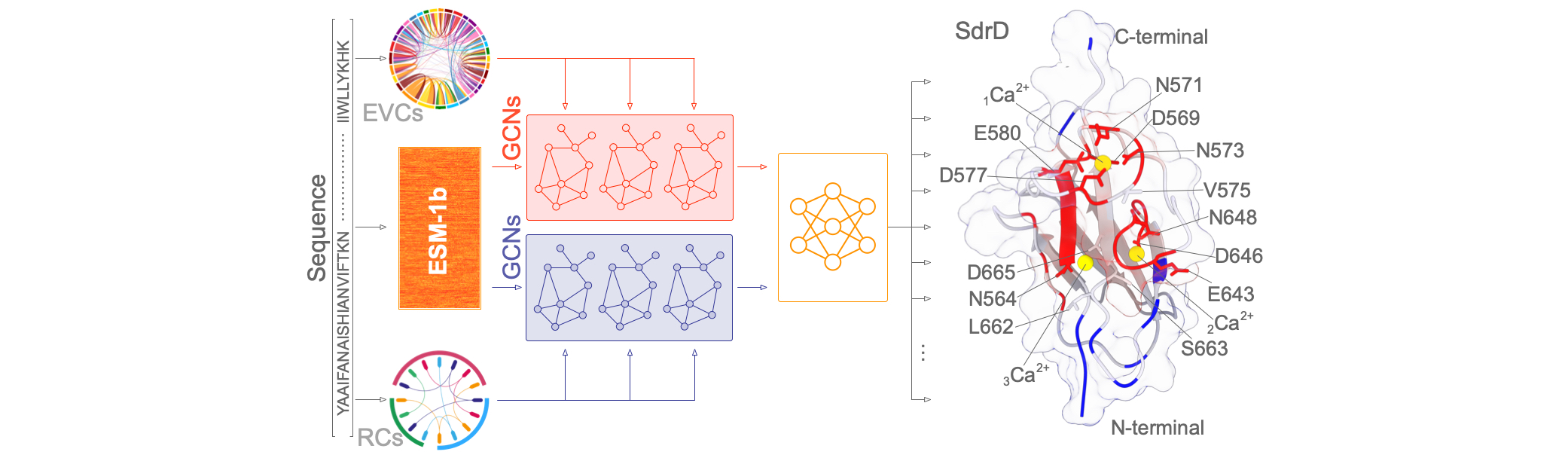 Physics-informed machine learning predicts protein function