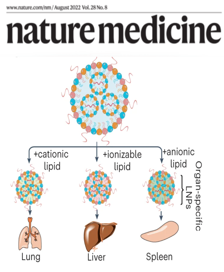 Nature Medicine: mRNA nanomedicine