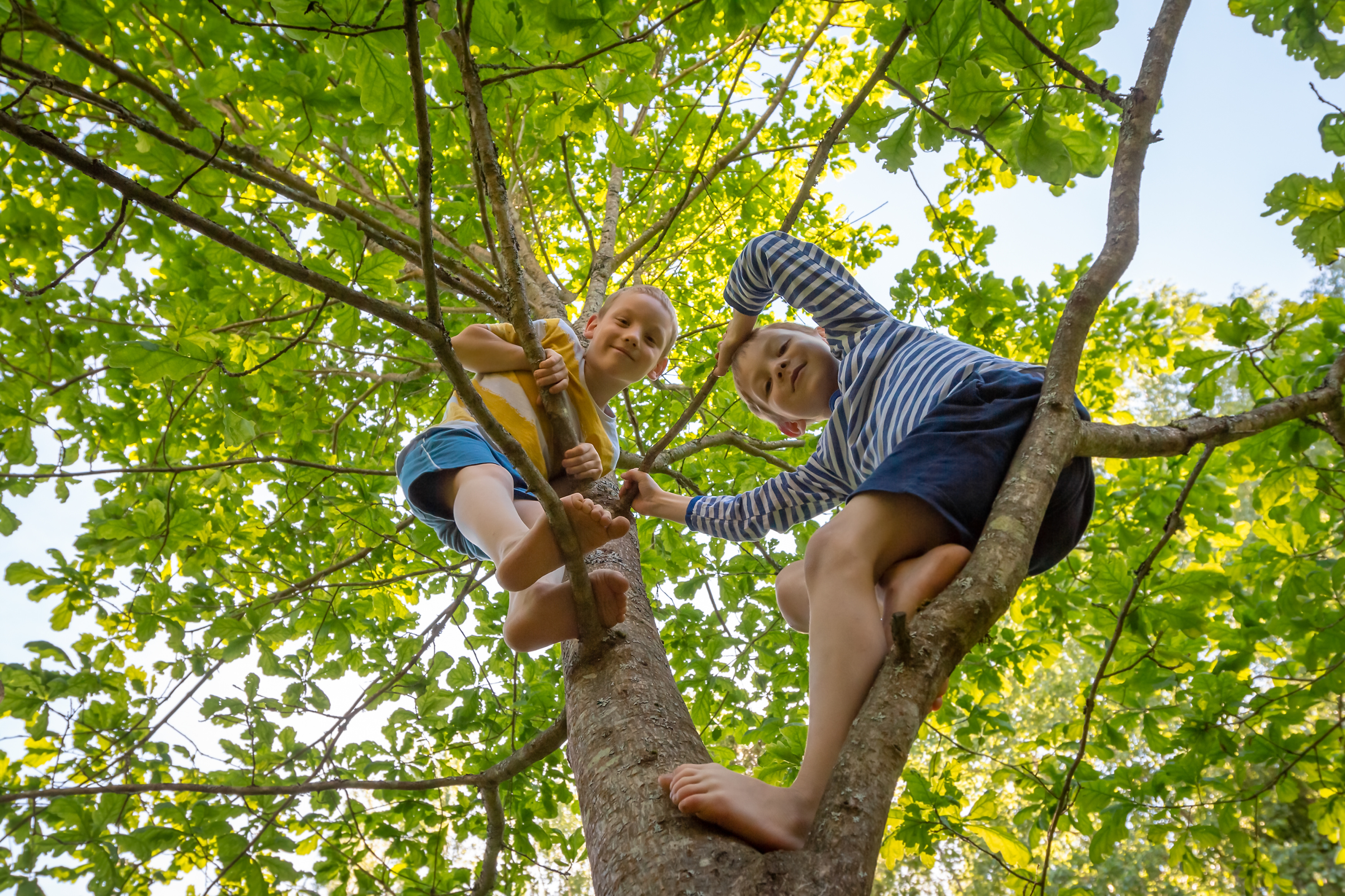 Risky play in the early years
