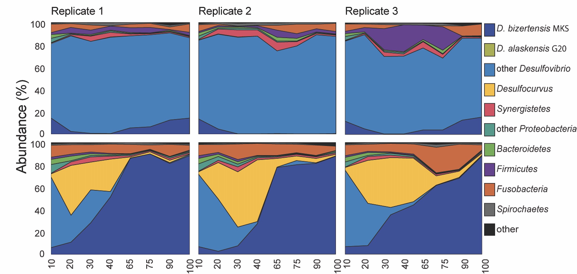 Sulfate-reducing microbes craft their escape