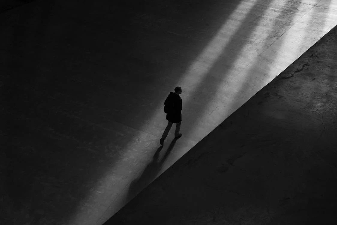 The Professional Self: The Enemy Inside
