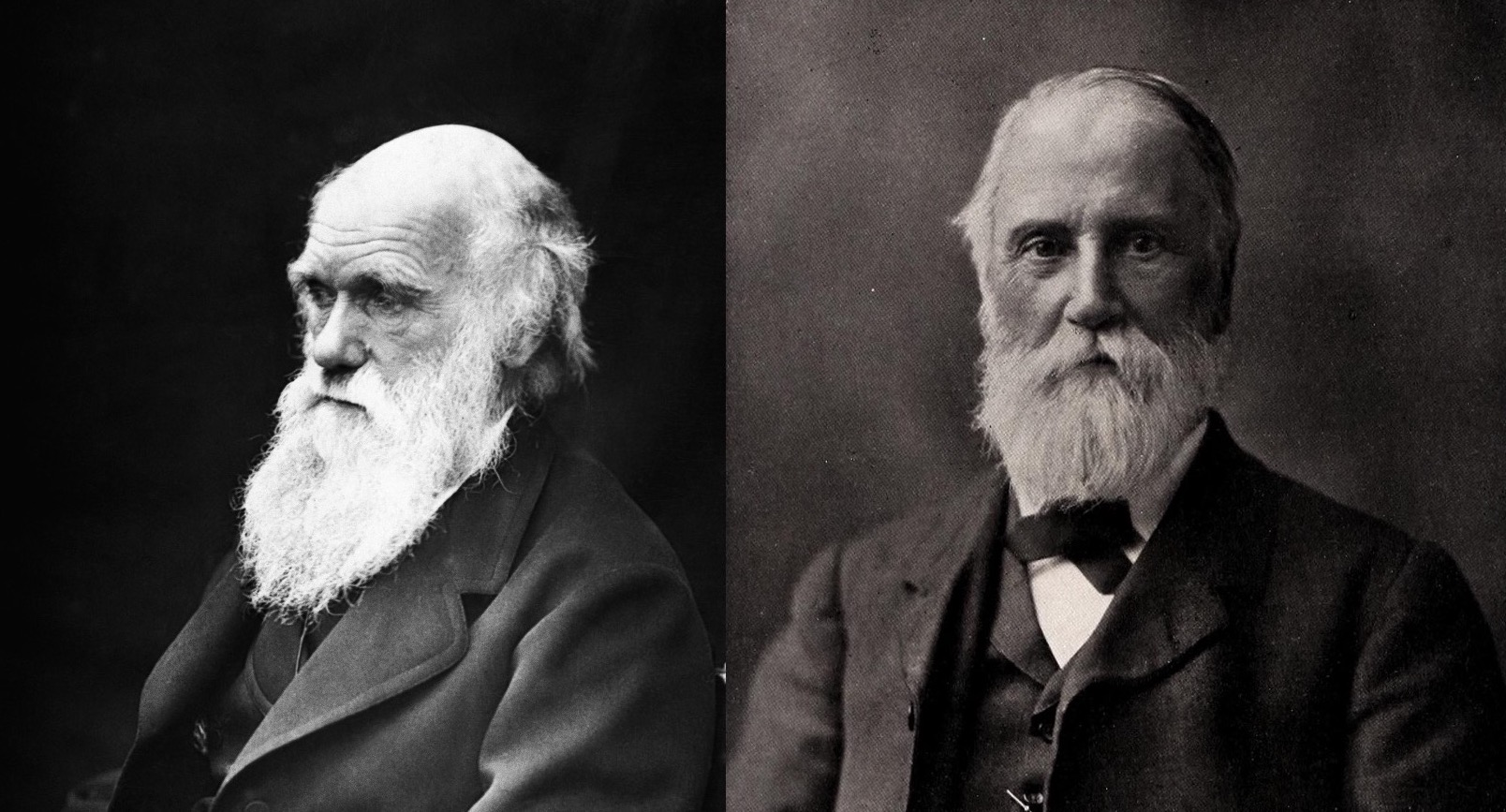 What was Darwin thinking? The origin of his 'abominable mystery'