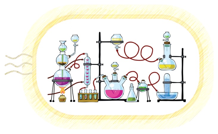 Zero-waste enzymatic reactions in flow: making biocatalysis really green