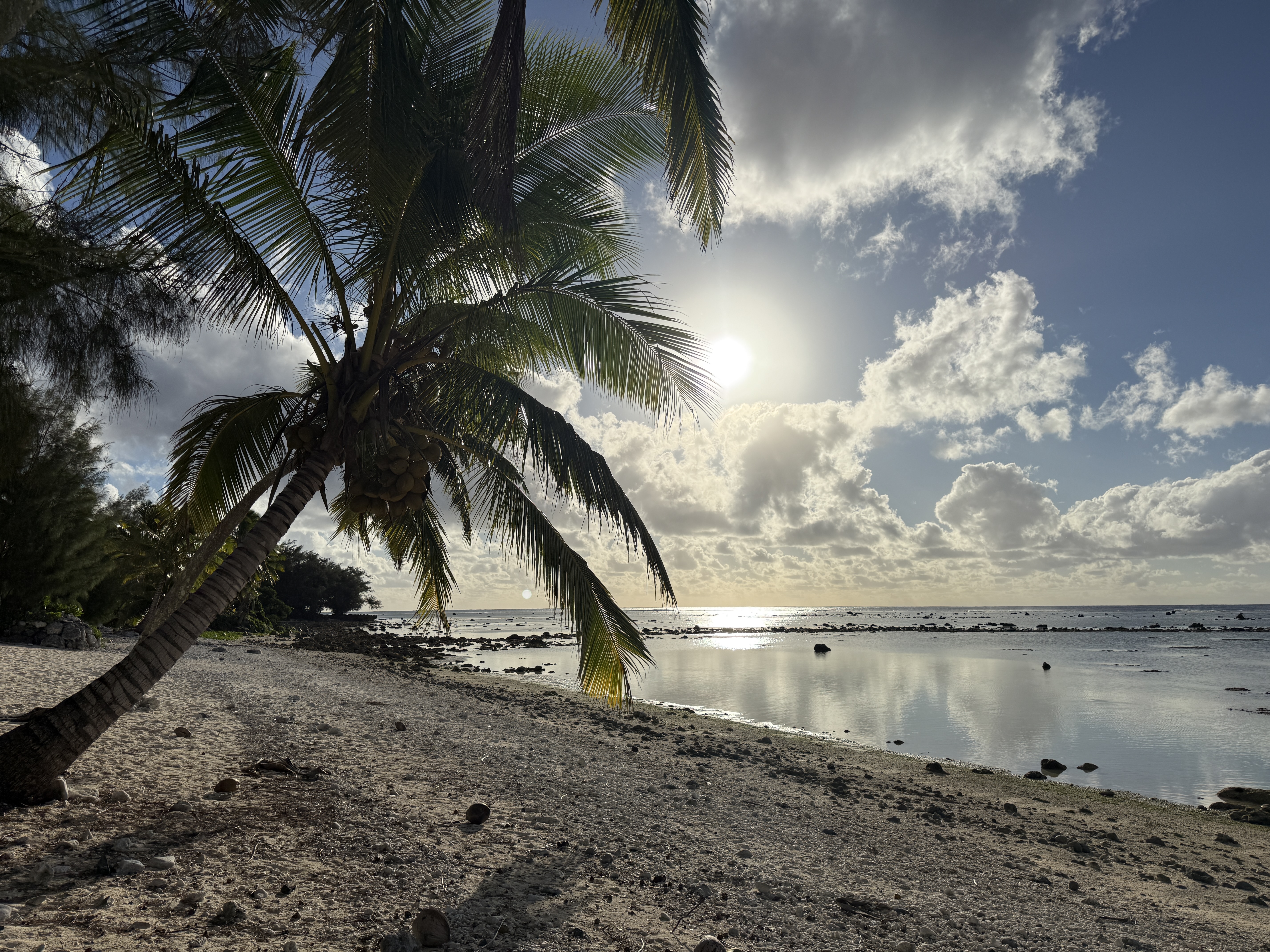 Beyond the Script: Navigating Emergent Goals and Unscripted Action in Cook Islands