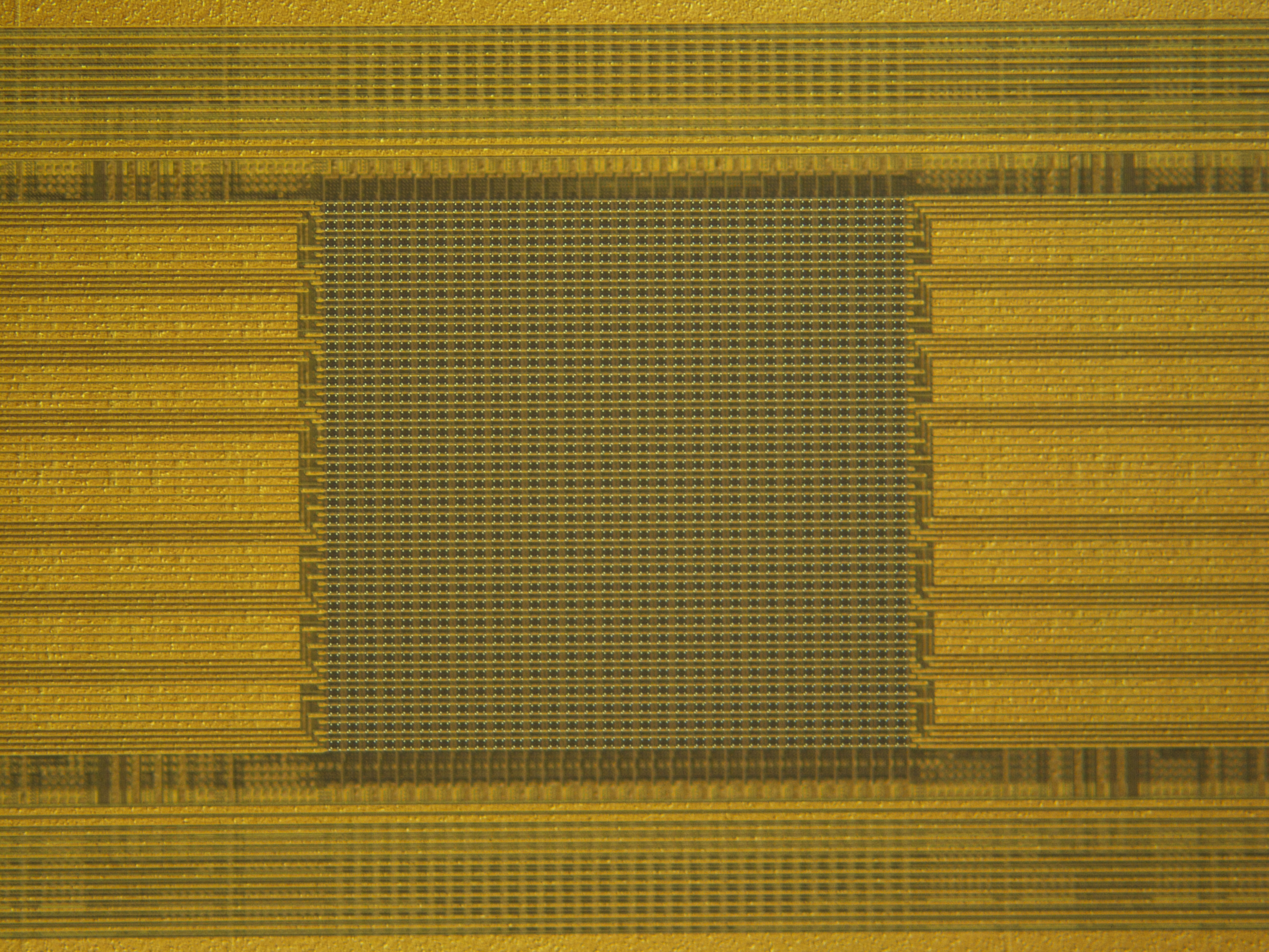 Harnessing Intrinsic Noise in Memristor Hopfield Neural Networks for Combinatorial Optimization