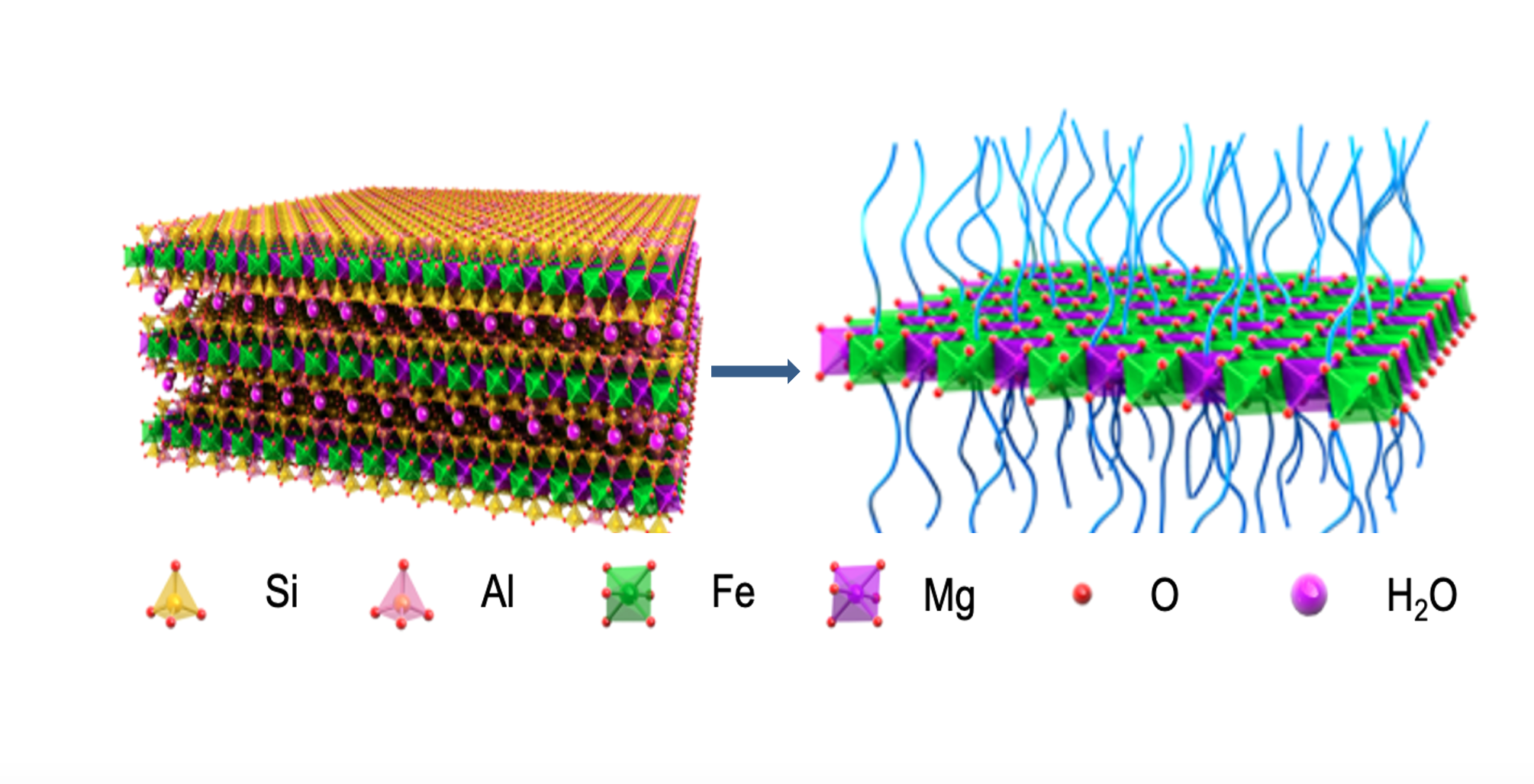 Hot Paper: Nature-Derived 2-Dimensional Materials for Cancer Therapy and Sustainable Solutions