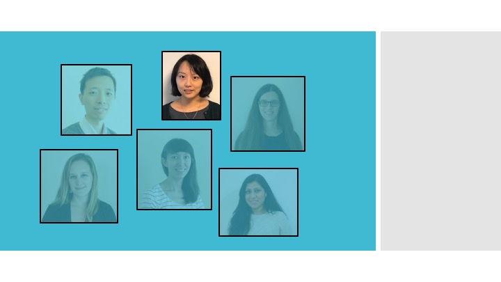Spotlight on Lei Tang, Nature Methods editor
