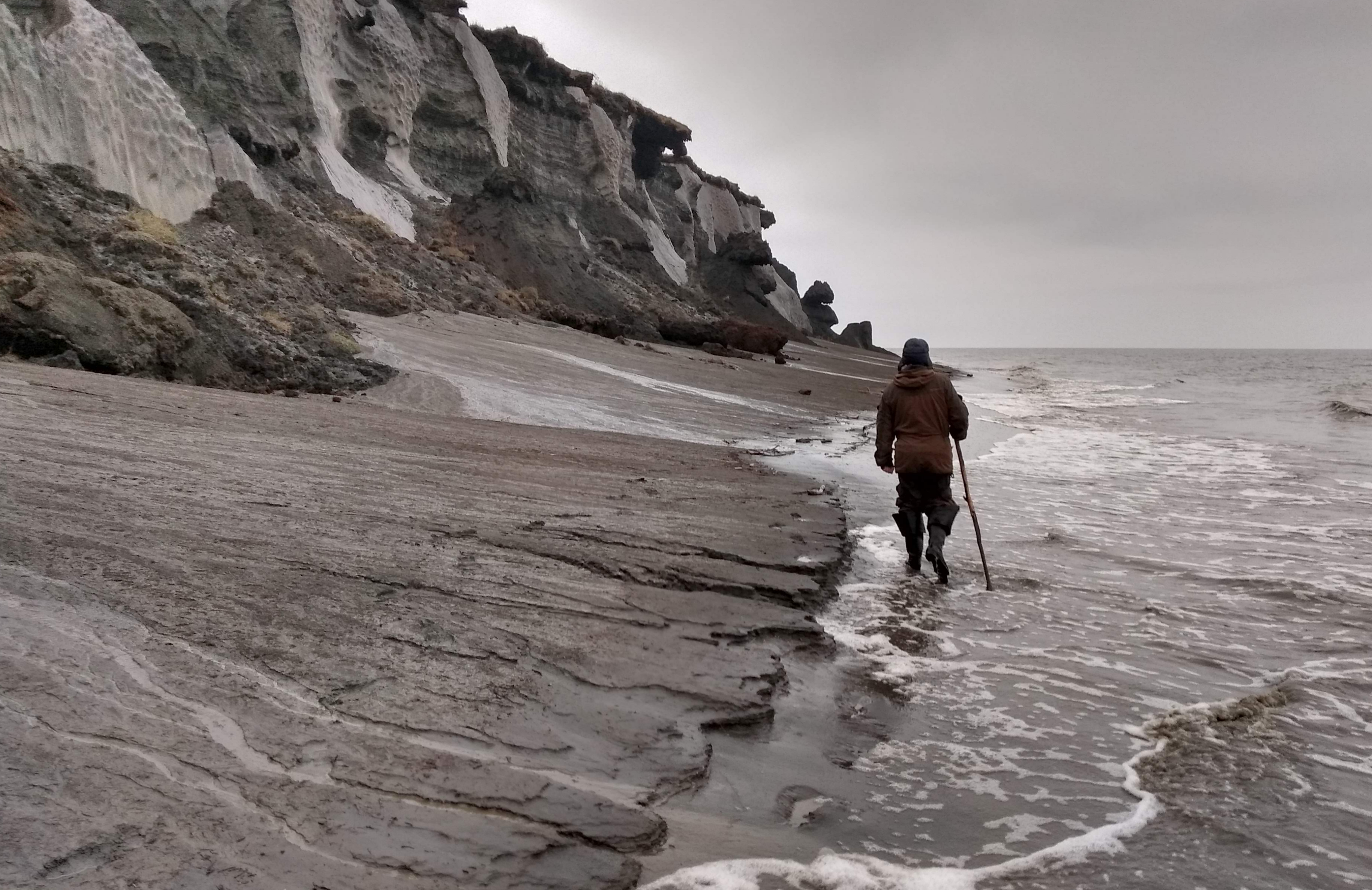 Arctic coastal erosion accelerates permafrost carbon loss - uncertainties and impacts