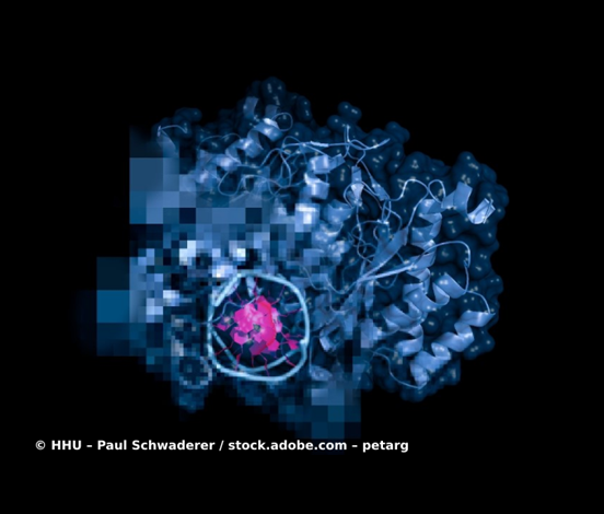 ESP: A Machine Learning Model for the Prediction of the Substrates of Enzymes