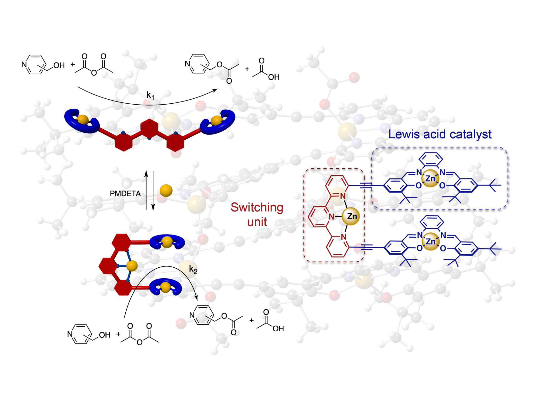Allosteric regulation with switchable molecular tweezers