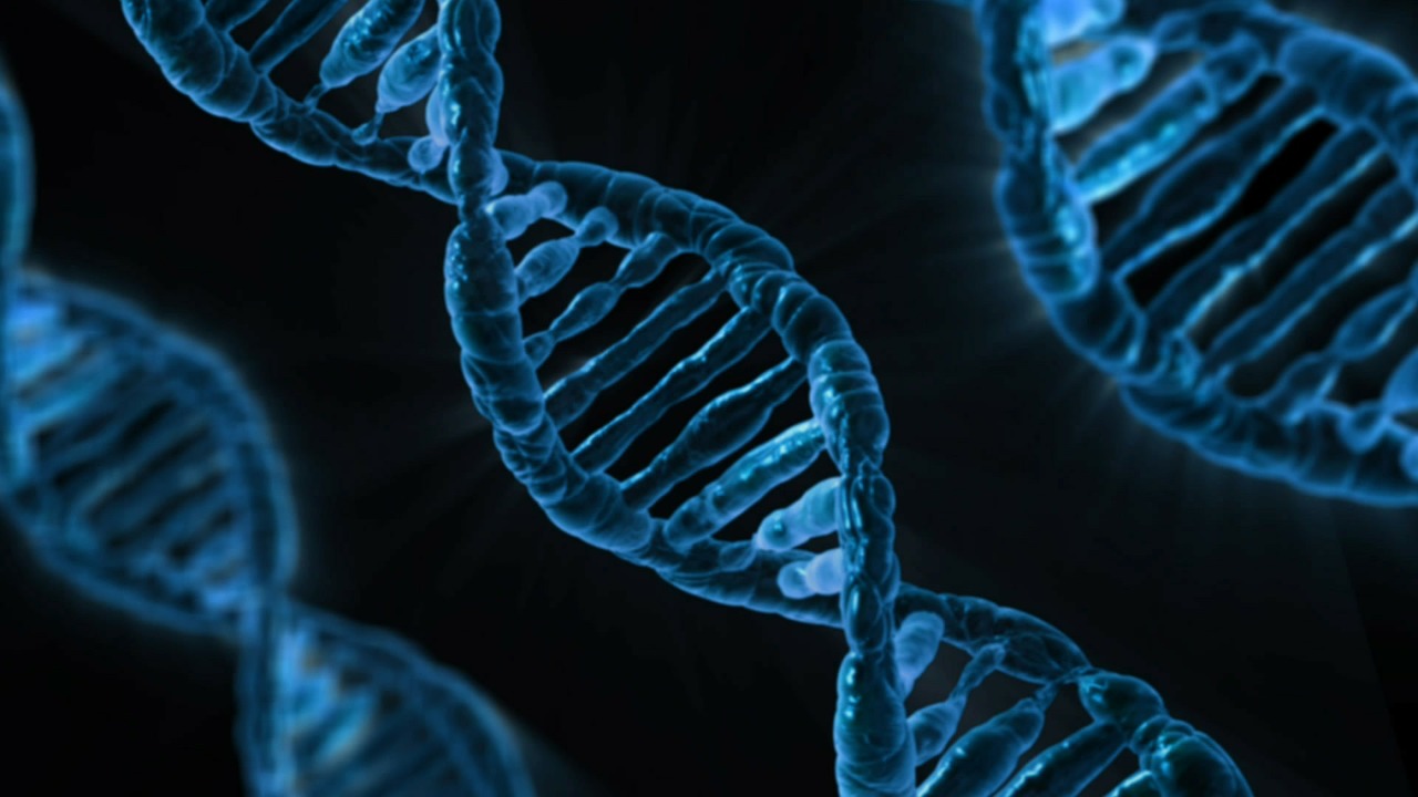 Orthotopic T cell receptor replacement using CRISPR/Cas9