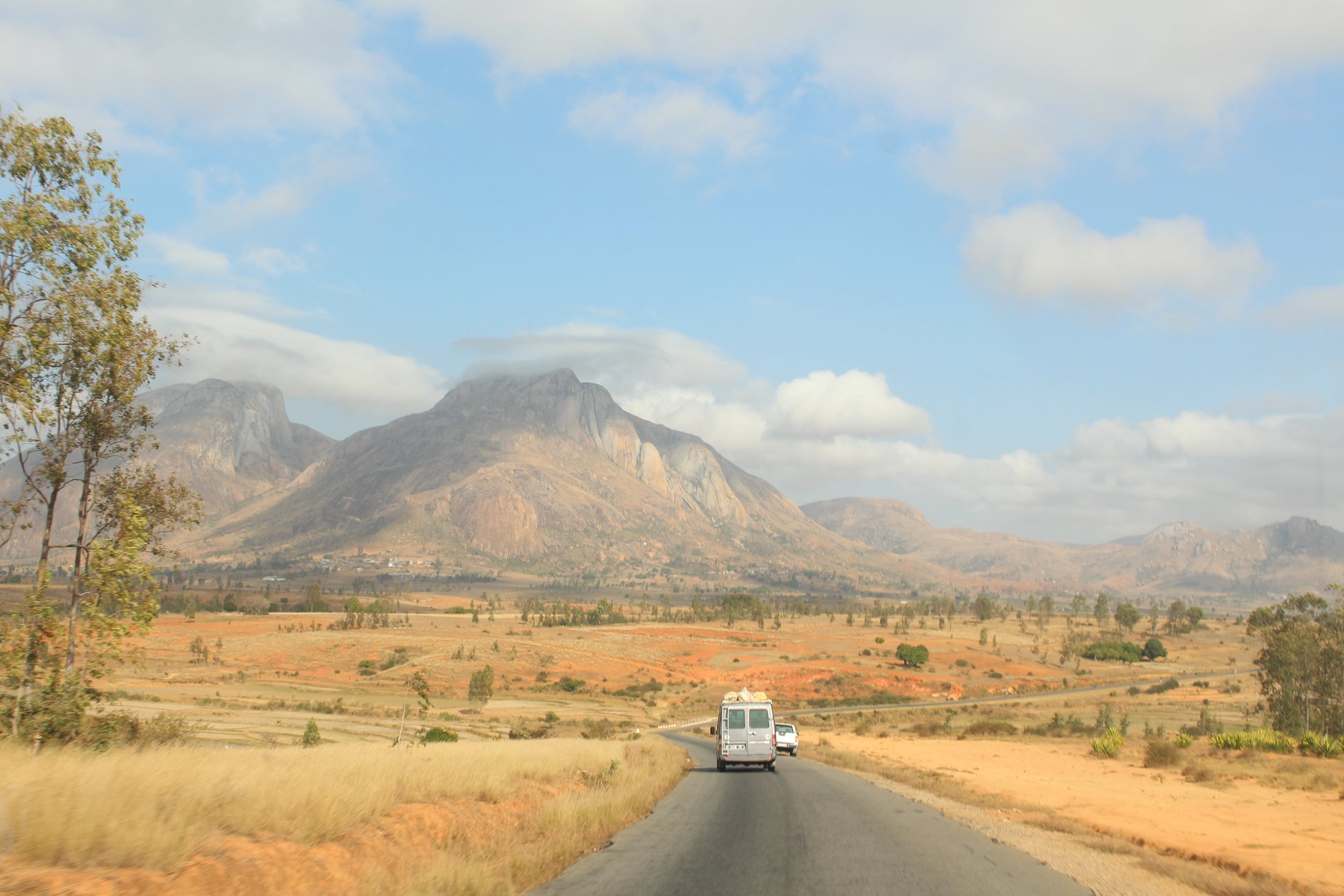 From genetics to capacity building, lessons learned from Vicki’s conservation story