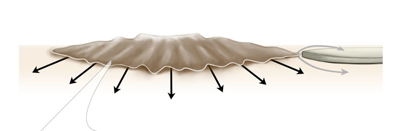 A functional amyloid acts as a signal to maintain motility