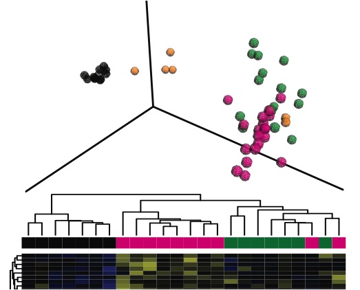 The impact of early-in-life macrolide treatment on gut microbial communities and host health.