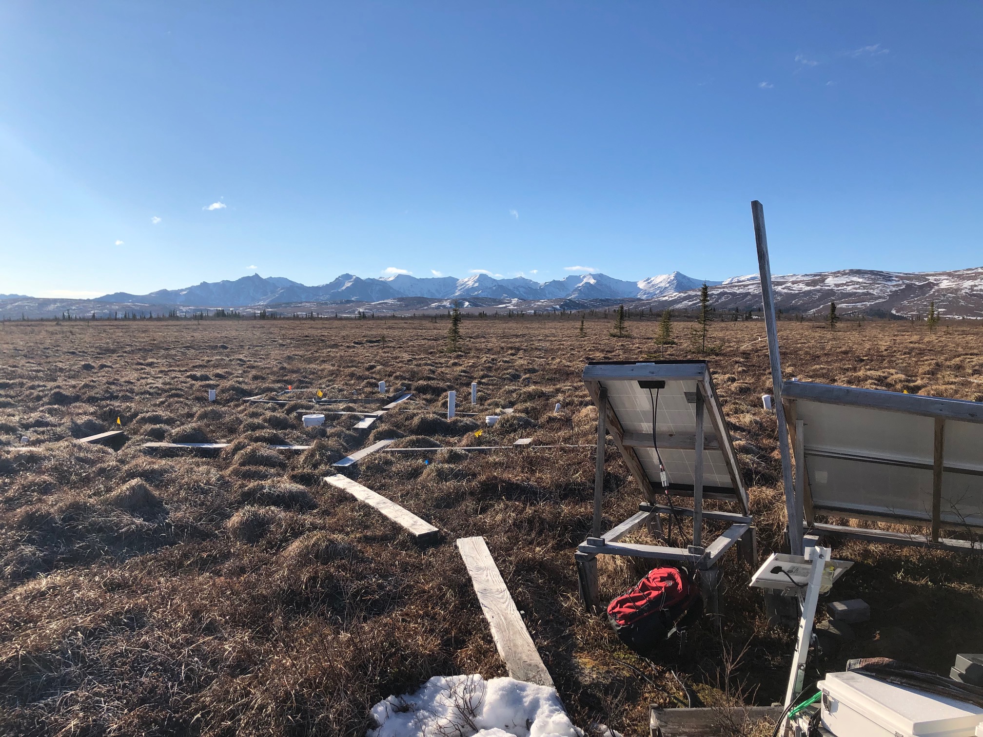 Beneath the surface: how microbes degrade stable tundra organic matter