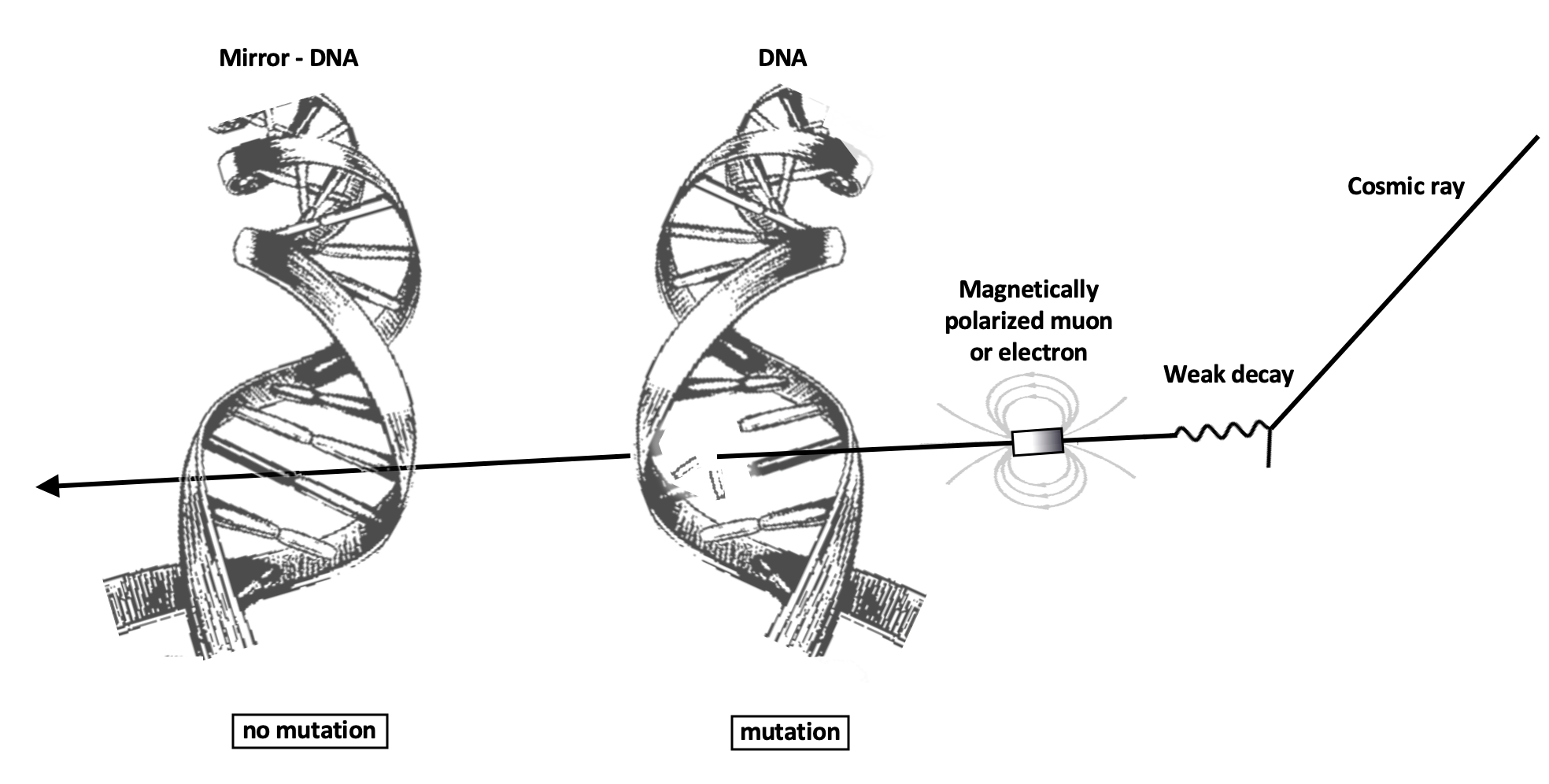 Life, the Universe and Cosmic Rays