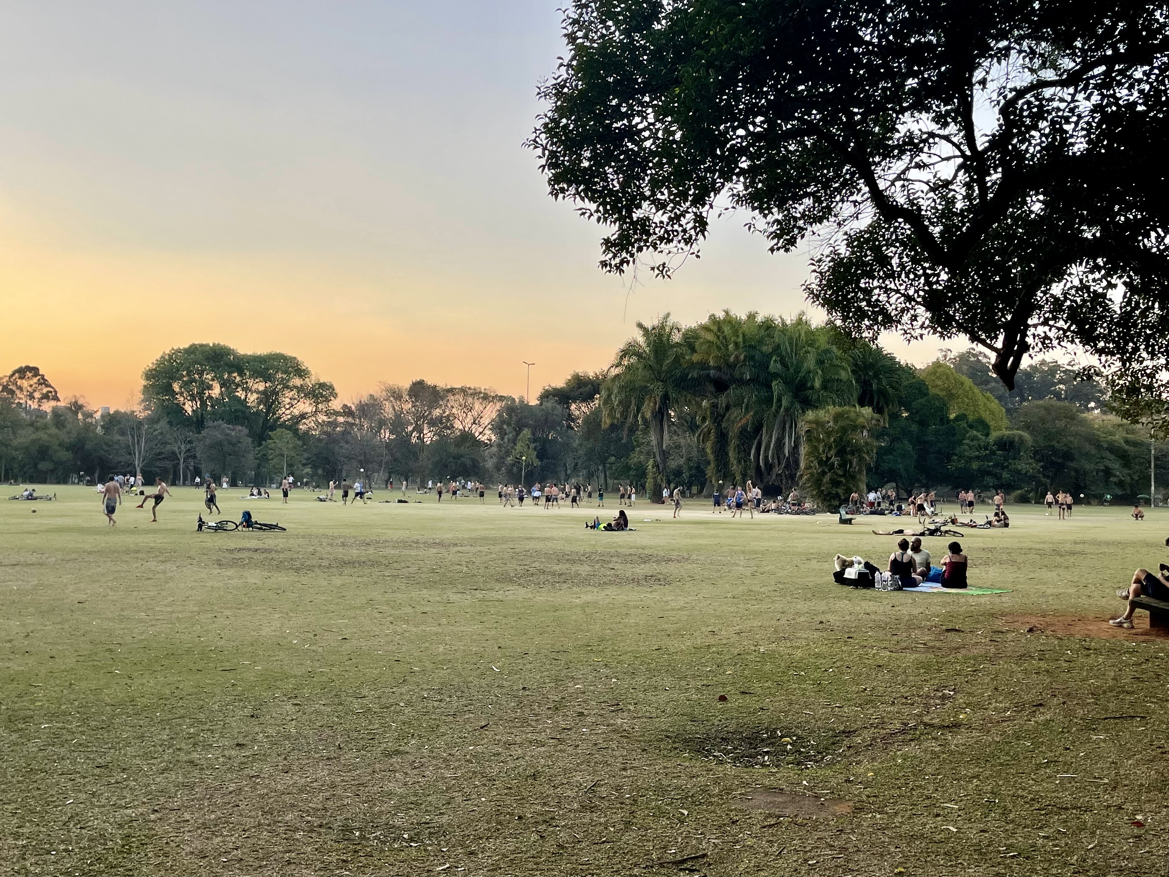 Understanding the Drivers of Green Space Availability in Latin AmericanCities