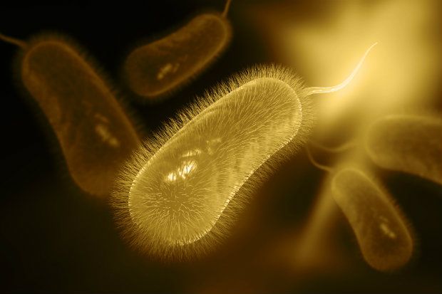 How can pharmacists promote antibiotic awareness?