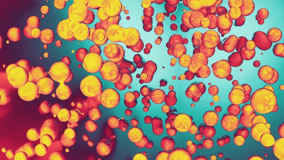 Guest Edited Collection on Molecules and materials for photothermal therapy