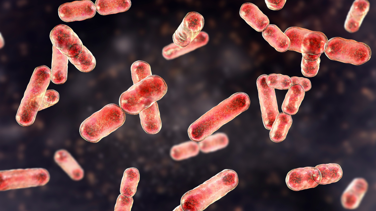 Call for papers: Antimicrobial resistance