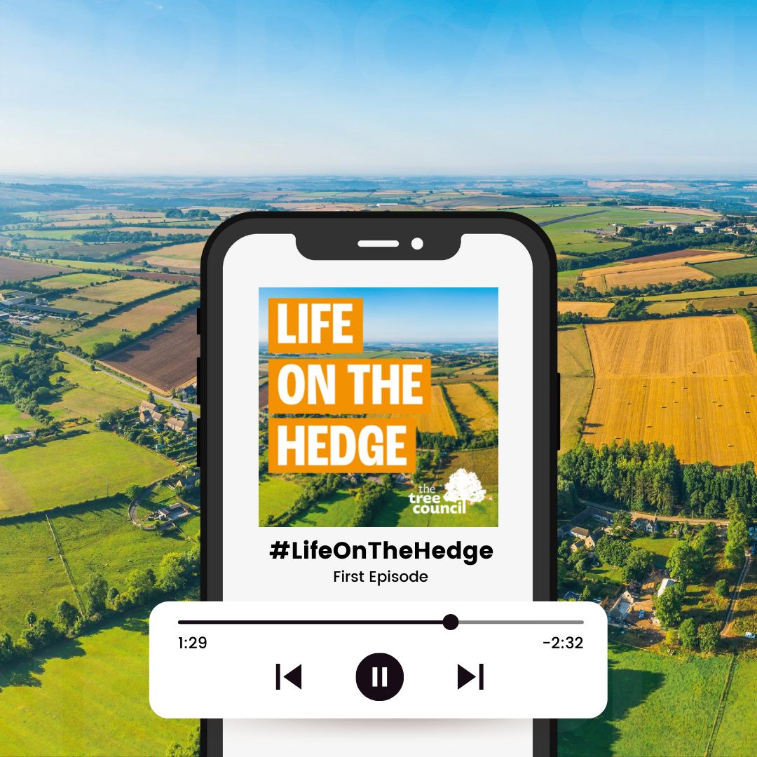 Life On The Hedge Podcast - The Tree Council