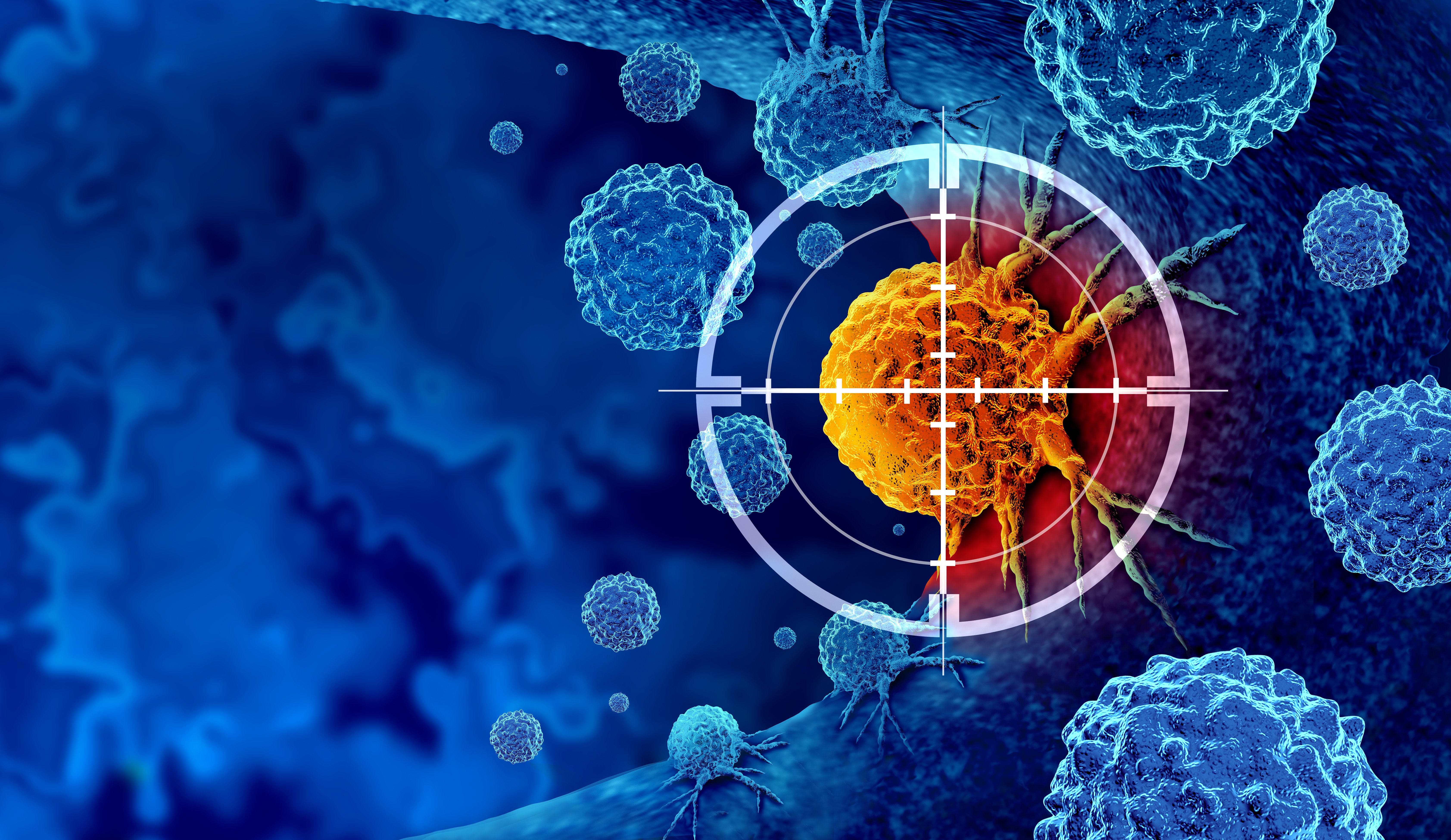 Cancer Immunotherapy: Bridging Basic Research and Clinical Translation