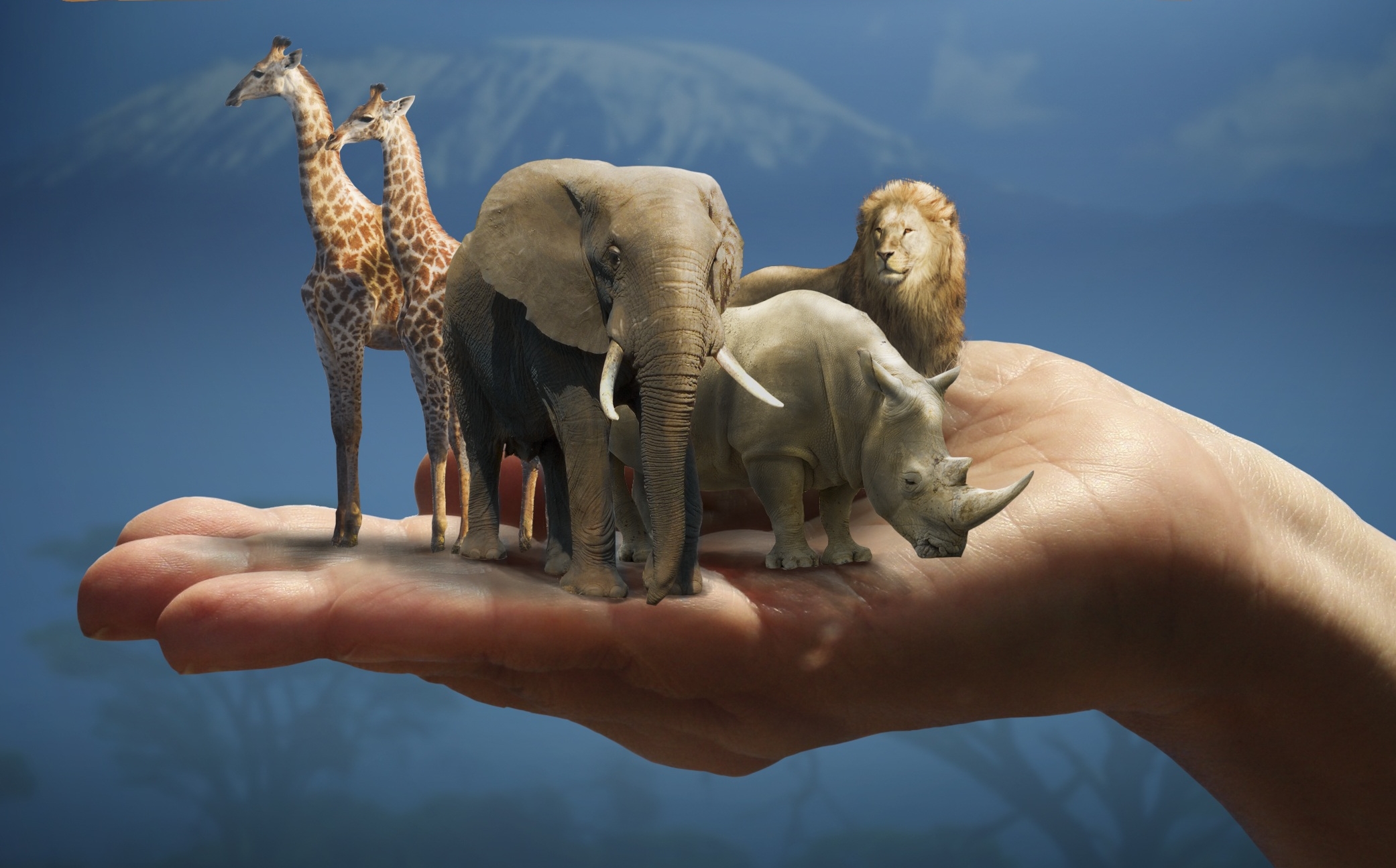 Book Review: The Science Behind Aesop’s Menagerie