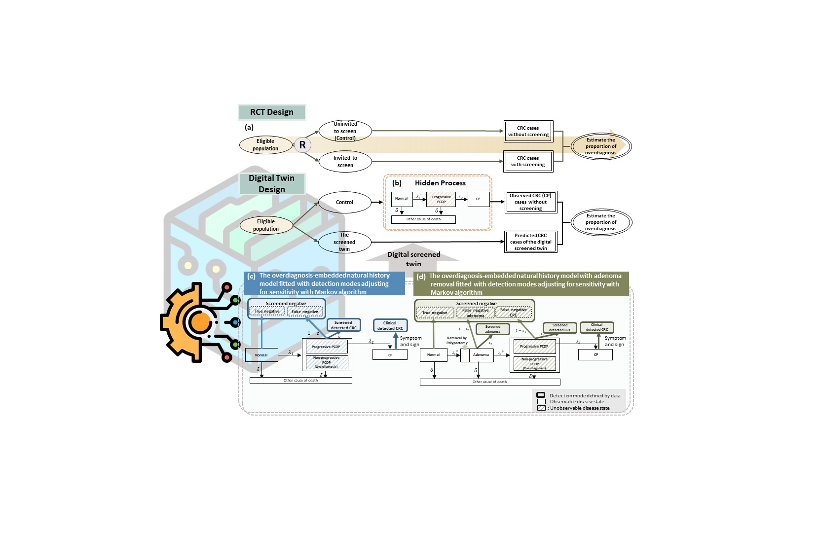 Assessing Overdiagnosis of Fecal Immunological Test Screening for Colorectal Cancer with a Digital Twin Approach 