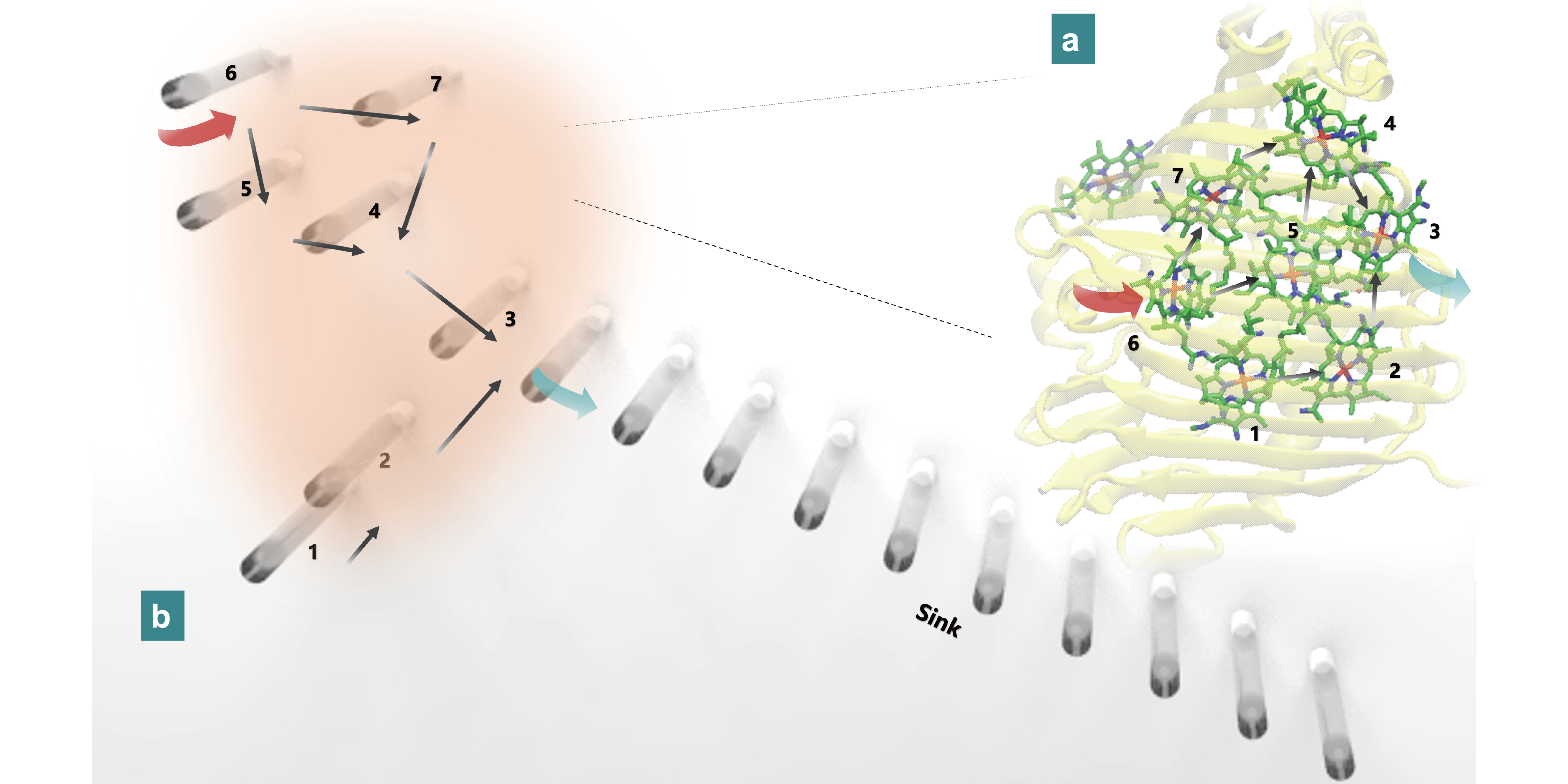 Quantum simulation of photosynthetic energy transport in green sulfur bacteria based on a three-dimensional light quantum chip