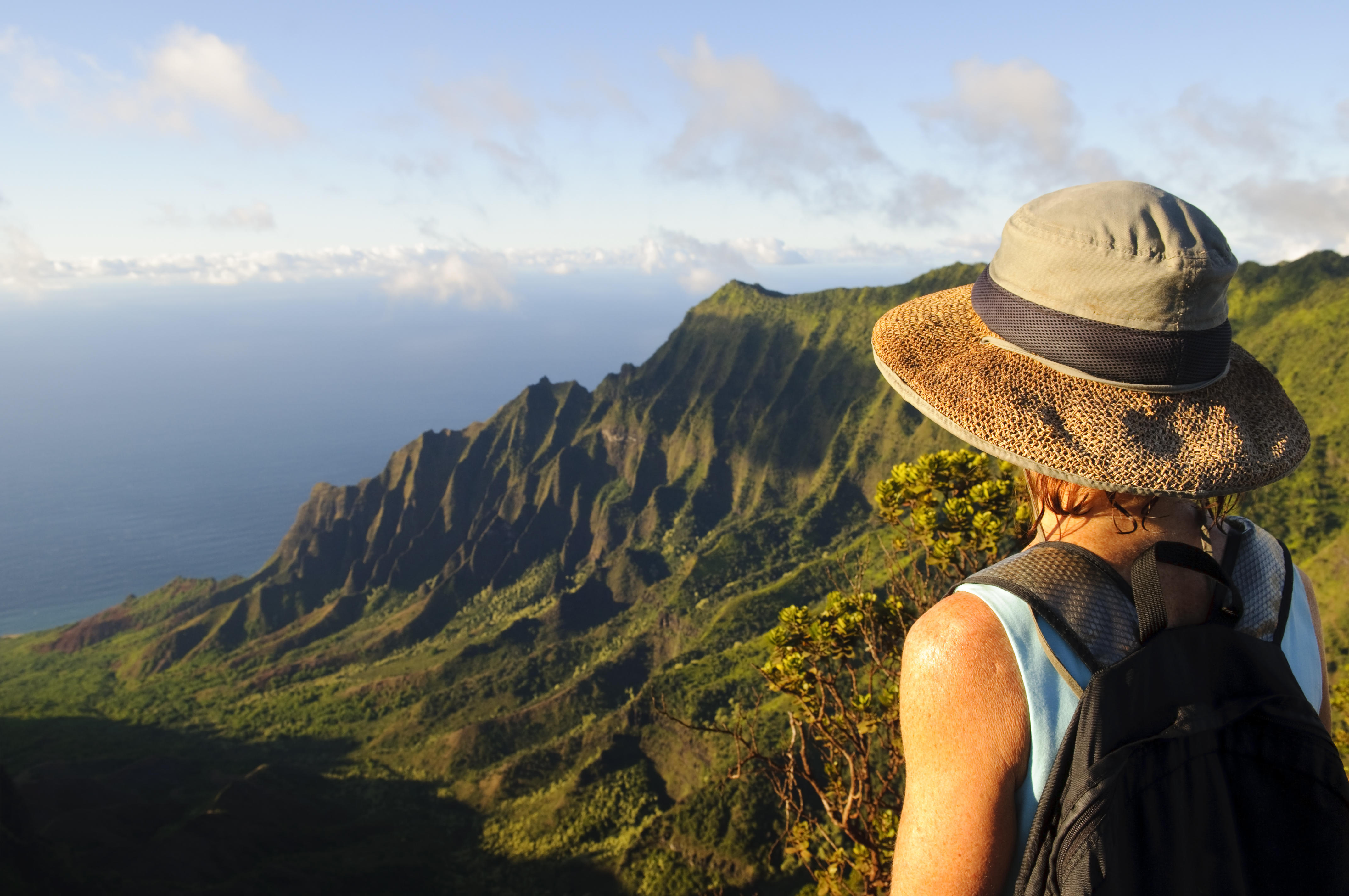 Webinar: How to switch careers into conservation (and start making a difference)
