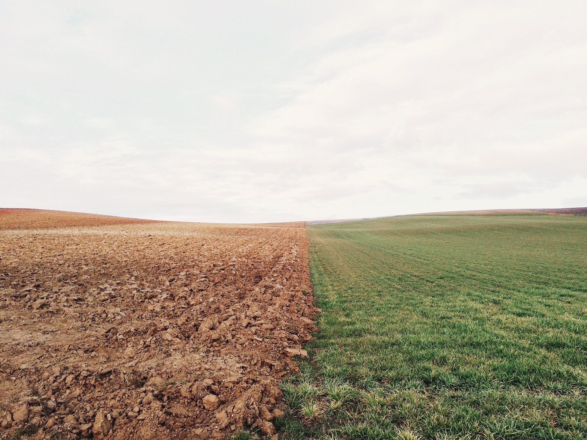 World Soil Day 2019